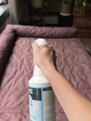 Every pet owner should be using Koe! 