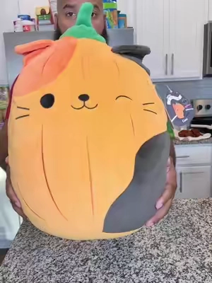 This Plushie from Squishmallow is so cute! @Squishmallows @Jazwares #squishmallow #squishmallowsquad #plushtoy #kidstoy #plush 