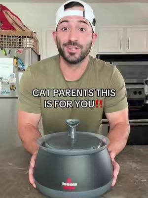 Bissell hydratewell cat water fountain 