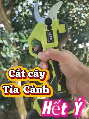 Kéo cắt cây tỉa cành , nhanh gon lẹ, hết ý luôn. #keocatcanh#keotiacanh#keocaycanhpin#keocat#minhnguyen 