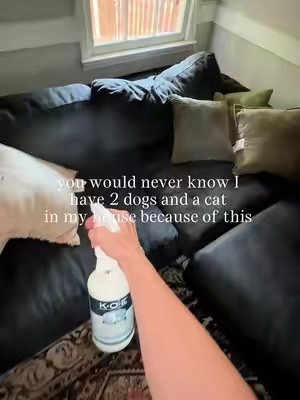 the only thing that works for me! #koe #petodoreliminator #petodorremover #dogsoftiktok 