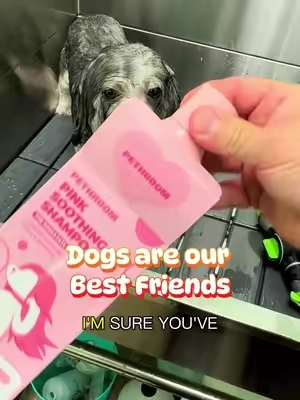 Dogs are our very best friends which is why they deserve the very best @PETHROOM Global #dogshampoo #petshampoo #dogallergyrelief #dogbath 