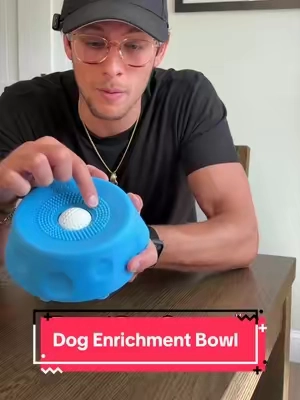 The different levels of dog enrichment 🐶👅 #dogparents #dogessentials #tiktokshopcreatorpicks #petlovers #dogenrichment 
