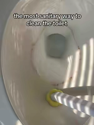there’s no excuse to have a dirty toilet now because this toilet cleaning want and refills are both SO affordable #toiletcleaner #besttoiletcleaner #toiletcleaningtips #toiletcleaninghack #toiletcleaner 