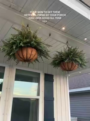 These are so affordable & have made the biggest difference out here 🤎 #ferns #Plants #Fall #Home #HomeDecor 