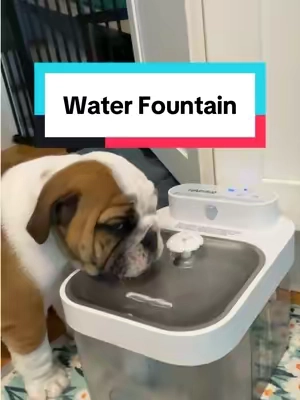 this water fountain has been great at keeping the dirt and grass out of the bowl! #dogwaterfountain #catfountain #petfountain 