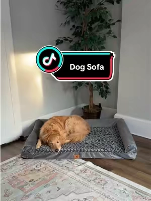 this thing is massive!  #dogbed #dogparents #dogaccessories #bigdog #dogsofa 