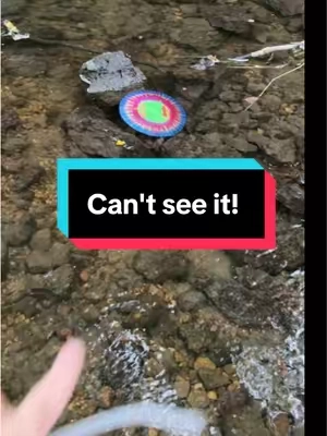 Whenever i wear my polarized sunglasses i can see more fish in the water! #polarizedsunglasses #sunglasses #polarizedglasses #fishing #fishinggear 