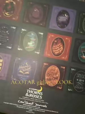 Planning 2027 like I live in Velaris. 🌙✨ #ACOTAR #Velaris #BookTok #FantasyBooks #PlannerTok