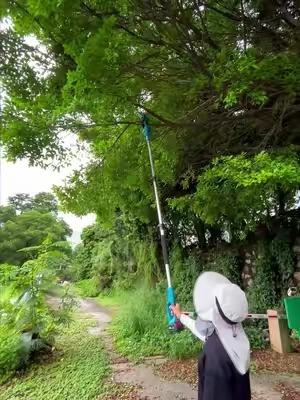 This pole saw makes trimming trees look EASY #PoleSaw #TreeTrimming #Gardening Tools #OutdoorTools #DIYTools     