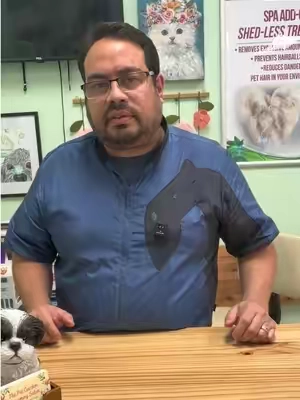 This pet shampoo is gentle and safe for dogs and cats. @PETHROOM Global #dogshampoo #petshampoo #customerservice #clientsbelike #petlovers 