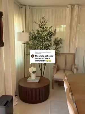 Replying to @Pinterest Saved #olivetree #fauxolivetree #homefind #tiktokshopbacktoschoolsale #TikTokshopbacktoschool 
