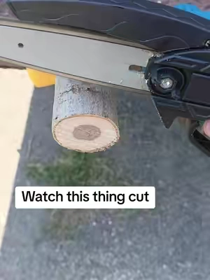 A Mini cordless chainsaw is the ultimate tree trimming upgrade.  #TikTokshopbacktoschool #tools #DIY #treecare #chainsaw 