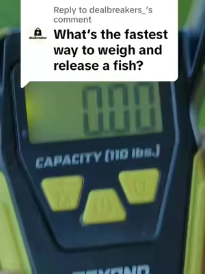 Replying to @dealbreakers_ Fastest Way to Weigh and Release Fish 