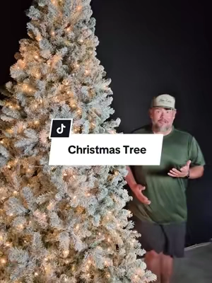 Christmas will be here before you know it. #christmastree #christmasfun #decoratethetree #christmasdecor 