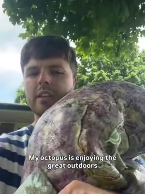 That octopus needs hydration 😂