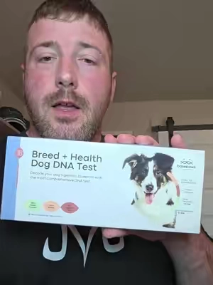 Basepaws Dog DNA Test Kit and Health/Genetic Marker #sohochic #sohochics #TikTokshopbacktoschool 