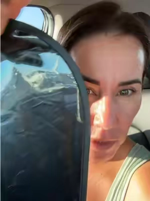Shade for your car-cling window shades for your side windows #windowshade #sunshade #sunshadeforcar #carshade #carpickupline 