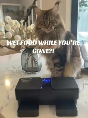 This automatic pet feeder refrigerates wet food and warms it to room temperature 30 minutes before it opens. Now you can feed your cat or dog wet food even when you’re not home. 🐱🐶 #automaticpetfeeder #catfeeder #petfeeder #catlover #catmom @meowant.us 