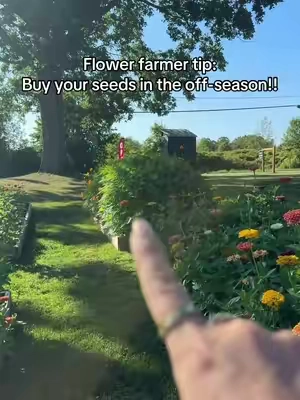 The best seeds!!! 