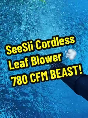 This cordless blower is an absolute BEAST! 💨 780 CFM, brushless power, turbo mode, and two batteries included. Great for leaves, grass, debris and even light snow #LeafBlower #CordlessTools #LawnCare #seesii #falldealsforyou @SEESII Tools 