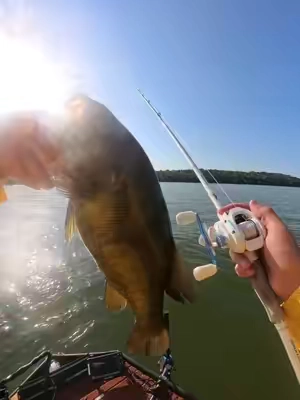 Smallies on the centron lite! @KastKingUSA  #tiktokshopcreatorpicks #TikTokshopbacktoschool #baitcaster #fishing #bassfishing 