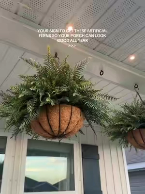 These are so affordable & have made the biggest difference out here 🤎 #ferns #Plants #Fall #Home #HomeDecor 