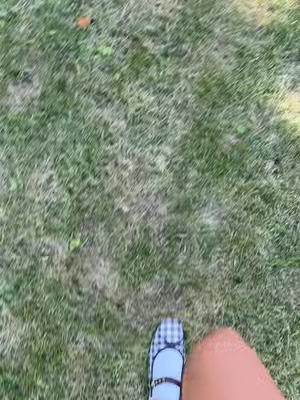 7677284448882232606