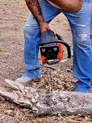 Vevor Timber Jack #chainsaw #firewood #arborist #chainsaws #timberjack 