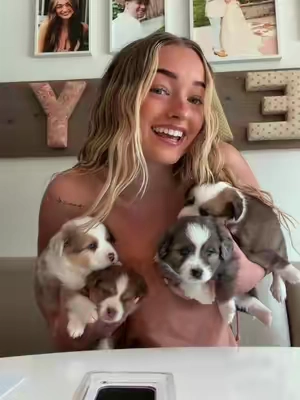 PUPPIESSS i love them sm sorry for the baby talk it naturally happens when im around them 😜😜😜 #puppies #pawprint #miniaussie #fyp #decor 