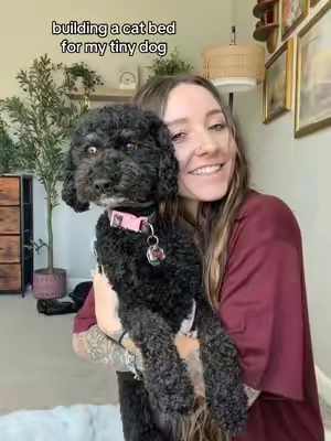 let’s build my dog a cat bed! #dogmom #catbed #dogbed #dogsoftiktok #TikTokshopbacktoschool 