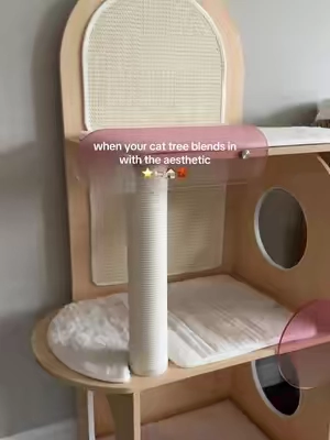 who said cat trees had to be ugly?? the days of torn apart green towers are over- we traded them for quality wood towers, built to last, and full of sleeping/scratching spots the cats love !! Happy cats = happy life #fyp #cats #catsoftiktok #cattree #cattower 