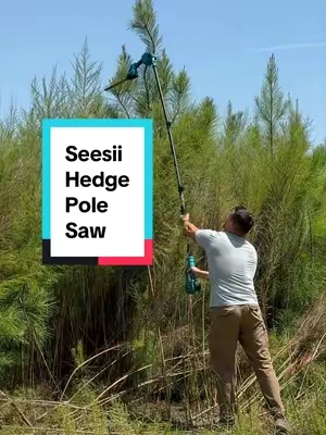 Now THIS is a yard tool! #hedgetrimmer #polesaw #chainsaw #seesii 