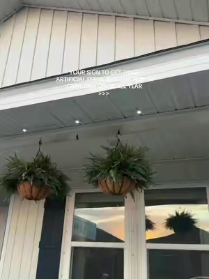 These are so affordable & have made the biggest difference out here 🤎 #ferns #Plants #Fall #Home #HomeDecor 