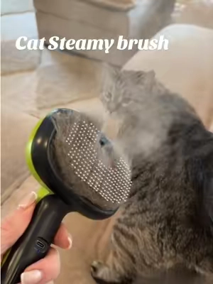 If your cat is shedding like crazy, this misting brush helps grab all that loose fur before it ends up all over your house.  #catbrush #cathair #catmom #catshedding #BackToSchool 