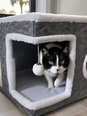 Apparently the cardboard box has officially been upgraded. 😂🐈 She gets a hideaway, scratching spot, lookout spot AND somewhere to swat at a toy… and I get something that actually looks cute sitting in the house. #TikTokshopbacktoschool #TikTokShopCreatorPicks #CatTok #CatFinds #CatFurniture 
