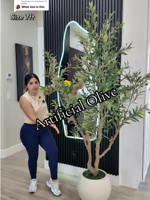 Respuesta a @Meera #TikTokshopbacktoschool #artificialplants #olive #plantadeolivo @Fancybatt 