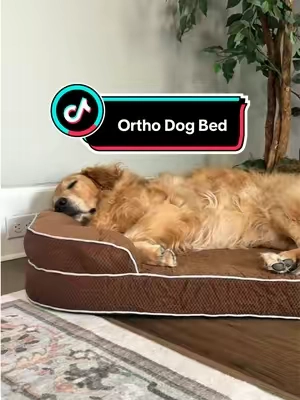 the last dog bed you’ll ever buy 😳 #dogbed #orthopedicdogbed #dogparents #dogaccessories #petlovers 