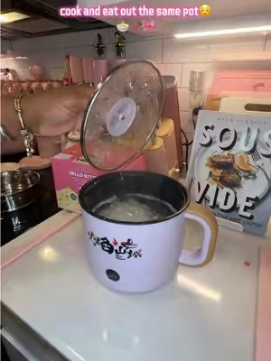 perfect for travel, making noodles, reheating leftovers fast🍜🎀 ⚠️colors are shipped randomly #hotpot #ramenpot #electricpot #ramen #travelpot 