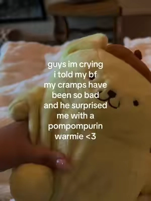 bye im crying hes so cute 😭😭 @Warmies #bf #warmies #pompompurin 
