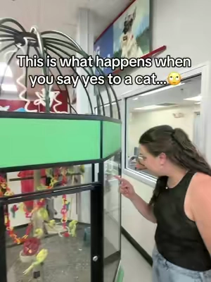She’s always wanting another pet but then I have to take care of it🙄#selfcleaninglitterbox #litterbox #petpivot #TikTokshopbacktoschool #sohochic 