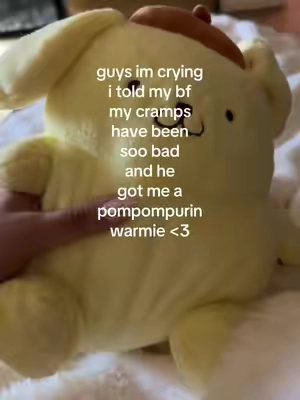 hes soo cute 😭🥺 @Warmies  #bf #warmies #pompompurin 