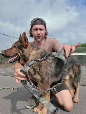 Never seen somthing work like this before 😅 🐕 #wearedogfriendlyco #harness #dog #DogTraining 