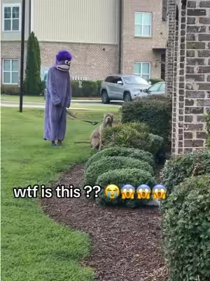 It’s one of those onesies from the TikTok shop I was so scared #tiktokshop #tiktokmademebuyit #monstersuit #tiktokshopcreatorpicks #halloweencostume 