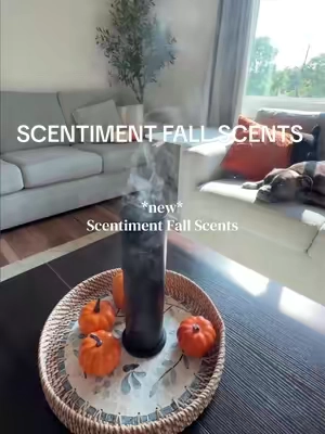 LIMITED EDITION Fall Scentiment scents are finally here 🙌 