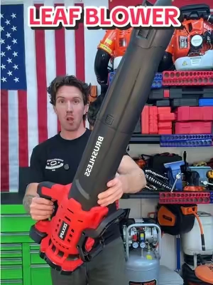 Check out this cordless LEAF BLOWER #cordless #leafblower #lawnandgarden 