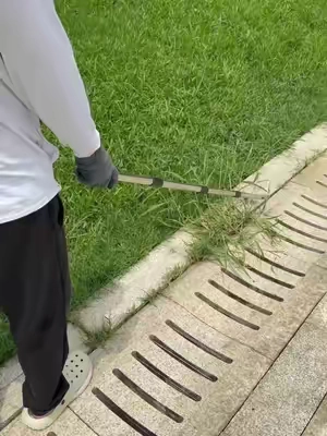 Do you still use butter knife,screwdriver and propane torch for this type grass in crevice? Rock #crevicetool#magictools#drivewaycracksgrass#DealsforYouDays#summerwins