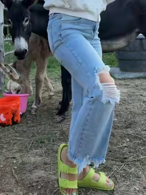 I hate jeans but love these #jeansoutfit #ComfyOutfits #TikTokshopbacktoschool 