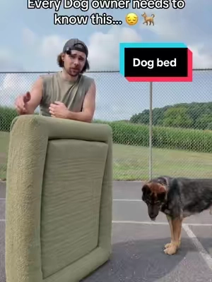 Limited time only #wearedogfriendlyco #dog #bed 