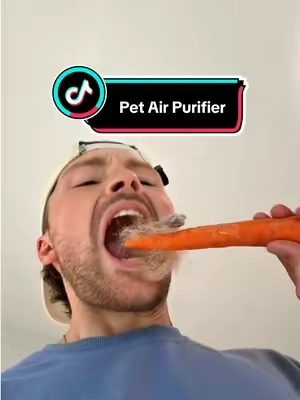 yall really gotta check this out 😅 #pethairremoval #airpurifier #allergies #odorremoval #petparent 